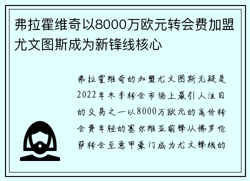 弗拉霍维奇以8000万欧元转会费加盟尤文图斯成为新锋线核心